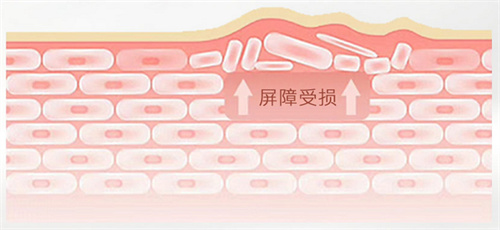 肽，态肽3会在中国周年白多新姿举行庆暨素野深圳发布